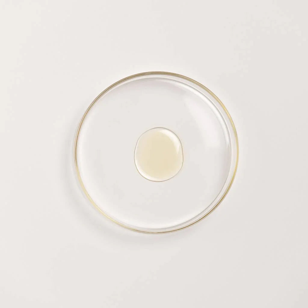 The Ayurveda Experience Trio černou čočkou - Trio pro obličej a tělo Trio pro obličej a tělo se sílou černé čočky (Face and Body Trio BGT with the Power of Black Gram)